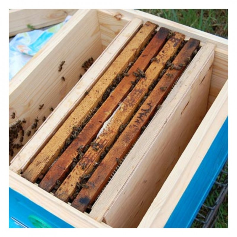 Фото 4. Ульи предназначенные для расширения (развития) приобретенных пчелопакетов