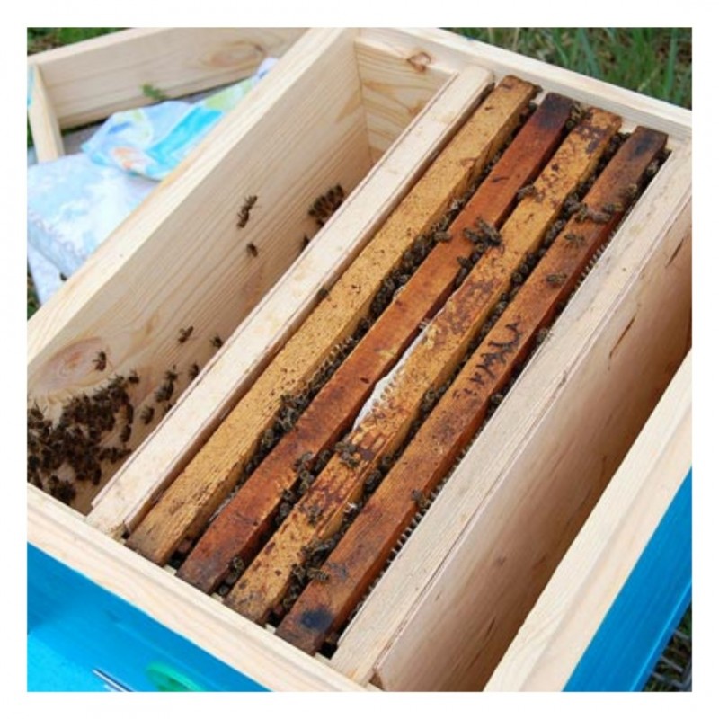 Фото 5. Ульи предназначенные для расширения (развития) приобретенных пчелопакетов