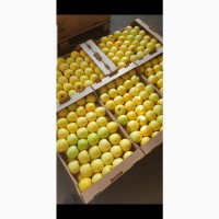 Яблоки оптом от производителя со складов фермерского хозяйства