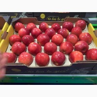 Яблоки из Сербии, сорт Голден
