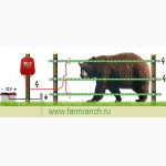 Электропастухи от медведей