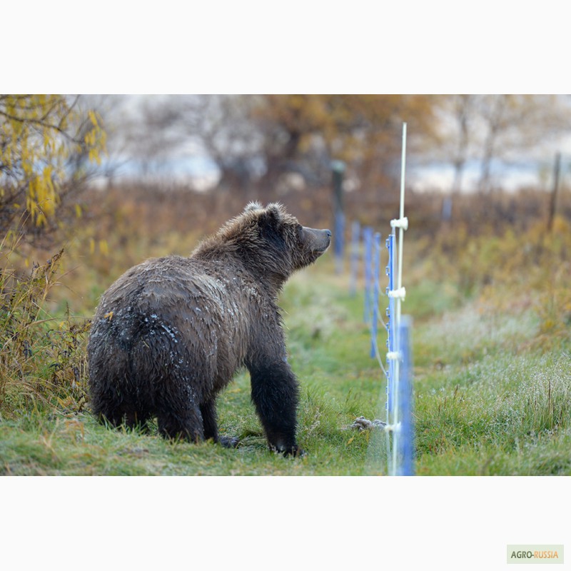 Фото 5. Электропастухи от медведей