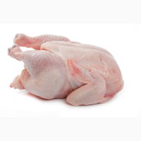 Мясо цыпленка бройлера оптом по цене производителя