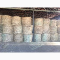 Сеянное злаковое сено 7р/кг в тюках МСК