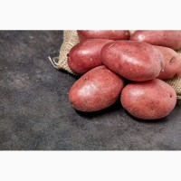 Продам картофель низкие цены