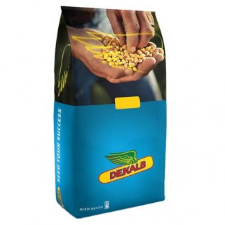 Семена кукурузы ДКС/DKS DEKALB/Monsanto