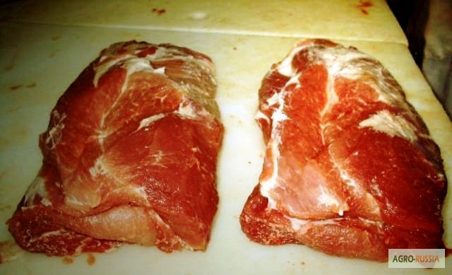 Фото 2. Свинина мороженая нога (свиной окорок), свиная корейка, свинины воротник