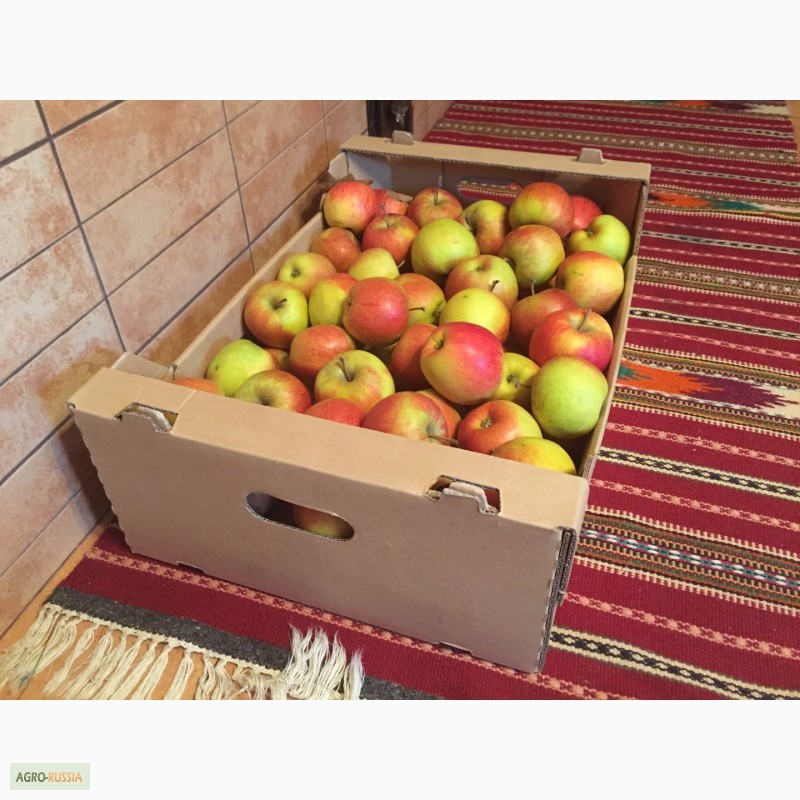 Фото 6. Продажа яблок