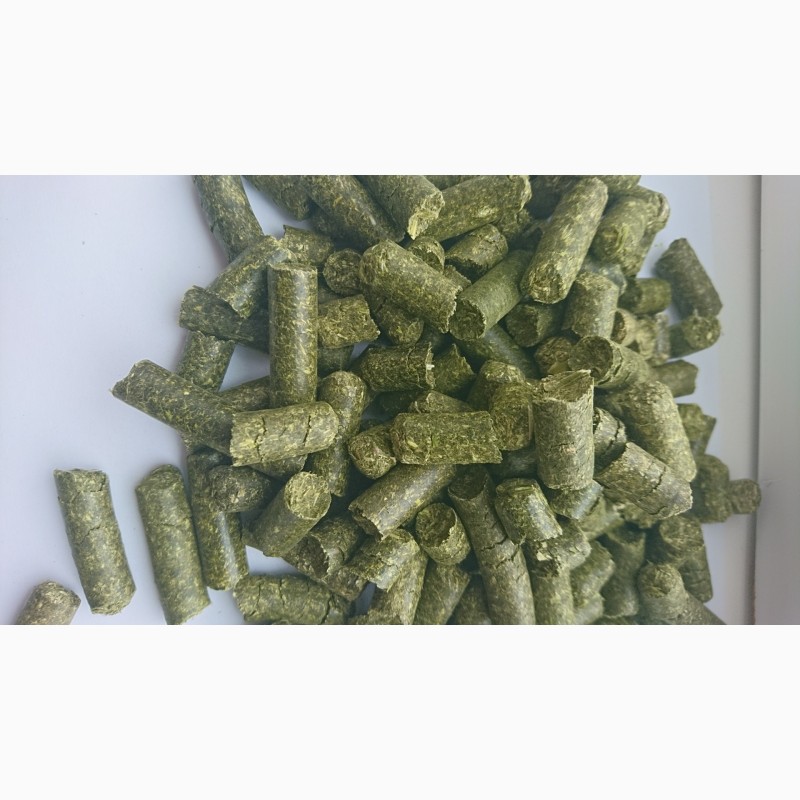 Фото 2. Витаминно-травяная мука в гранулах(люцерна) Урожай 2019 г