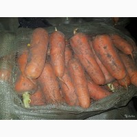 Лук репчатый, Картофель, Морковь