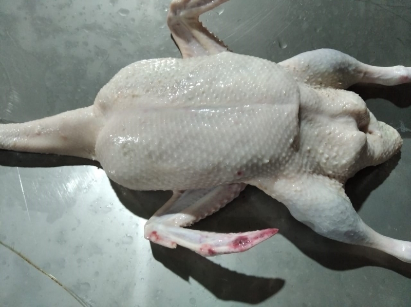 Фото 5. Тушка утки потрошёная 1-ый сорт, фермерская, фирменный пакет 1.8-2.4 кг Маршрутка