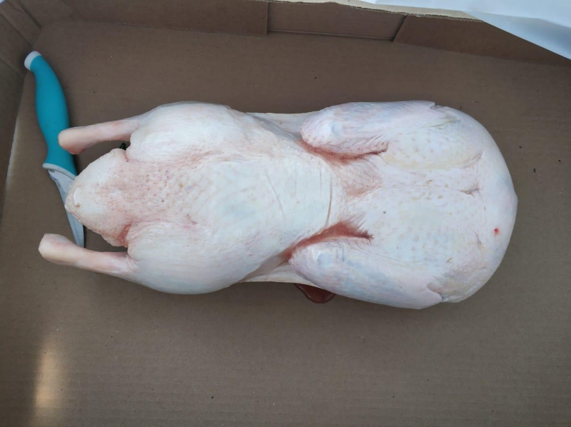 Фото 6. Тушка утки потрошёная 1-ый сорт, фермерская, фирменный пакет 1.8-2.4 кг Маршрутка