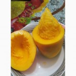 Продаю манго (свежее)