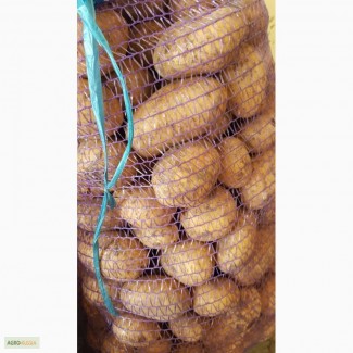 Картофель оптом 9 руб.кг от производителя в Ростовской области
