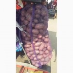 Картофель оптом 9 руб.кг от производителя в Ростовской области