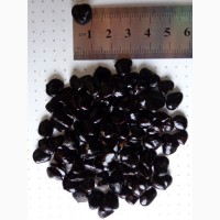 Акклиматизированые семена Магнолия Суланжа. опт 100гр-600руб