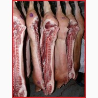 Мясо свинины экочистый продукт