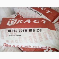 Семена кукурузы и подсолнечника от завода RAGT