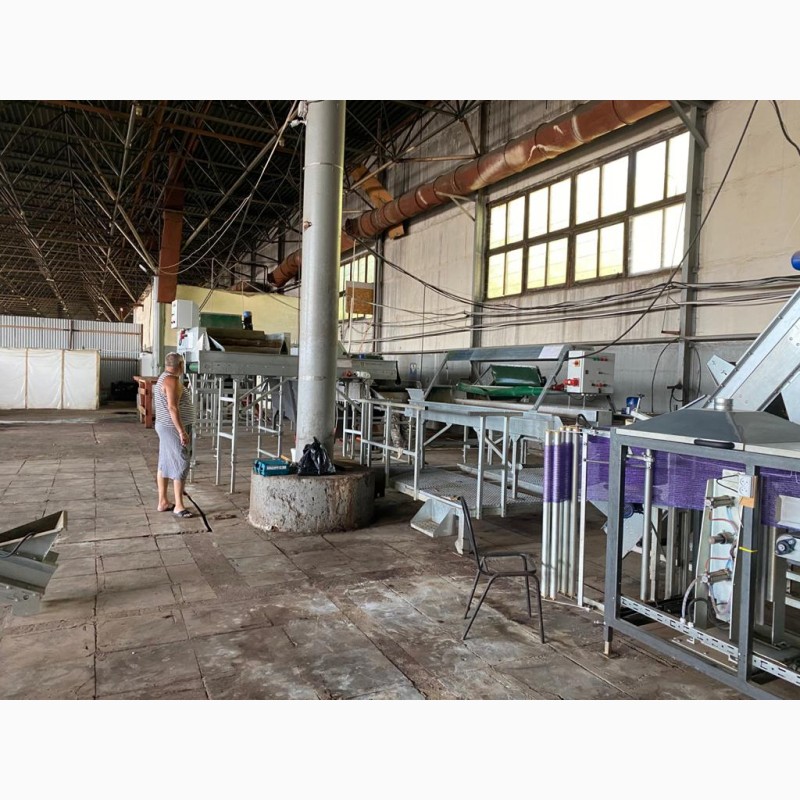 Фото 3. Продам технический комплекс «Богатырь-Агро» для предпродажной подготовки овощей