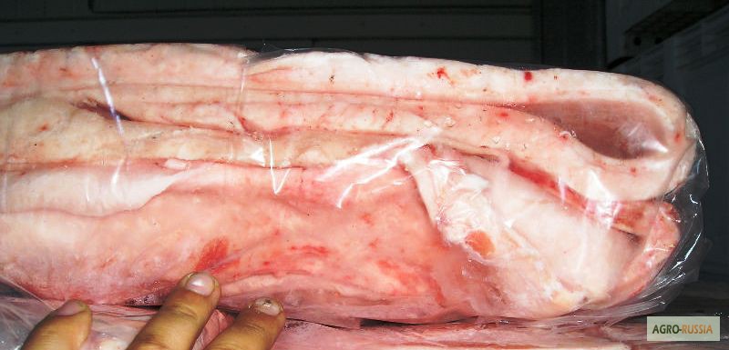 Фото 4. Замороженные свиные обрезки 80/20, свинина диафрагмы без мембраны, свиная голень