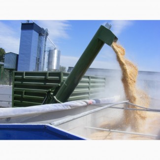 Услуги перевалки зерновых по воде