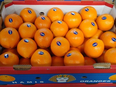 Предлагаем прямые поставки апельсина Египта