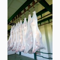 Организация реализует мясо баранины.Поставка с бойни Астрахани