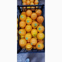 Продам Апельсины