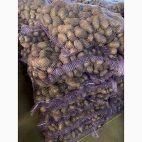 Продам картофель оптом от производителя