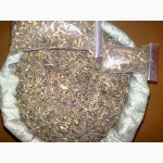 Продам лекарственное растение Сагаан Даи Ля
