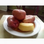Картофель оптом от 5, 5 рублей с доставкой