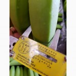 Оптовые поставки бананов из Мексики (Cavendish premium) в Санкт-Петербург