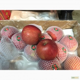 Яблоки Фуджи Китай
