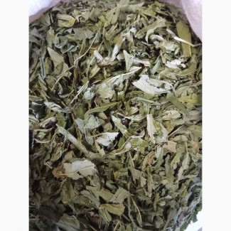 Кипрей узколистый (Иван-чай) лист (оптом от 5кг)