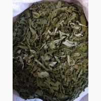 Кипрей узколистый (Иван-чай) лист (оптом от 5кг)