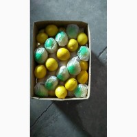 Продаю Лимон производство Китай