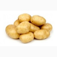 Продам картофель продовольственный, урожай 2020 года