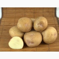 Продам Семенной картофель (элита, суперэлита) от СеДеК