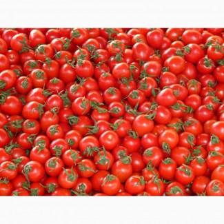 Продам томат (красный) урожай 2021года