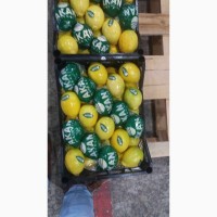 Лимоны (Турция) оптом со склада в СПб