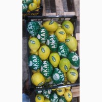 Лимоны (Турция) оптом со склада в СПб