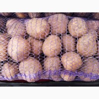 Продам картошку фасовка 30 кг Воронеж