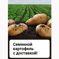 Продам картошку фасовка 30 кг Воронеж