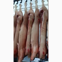 ООО Санарин, реализует мукозу, кишечник свиной промытый неочищенный