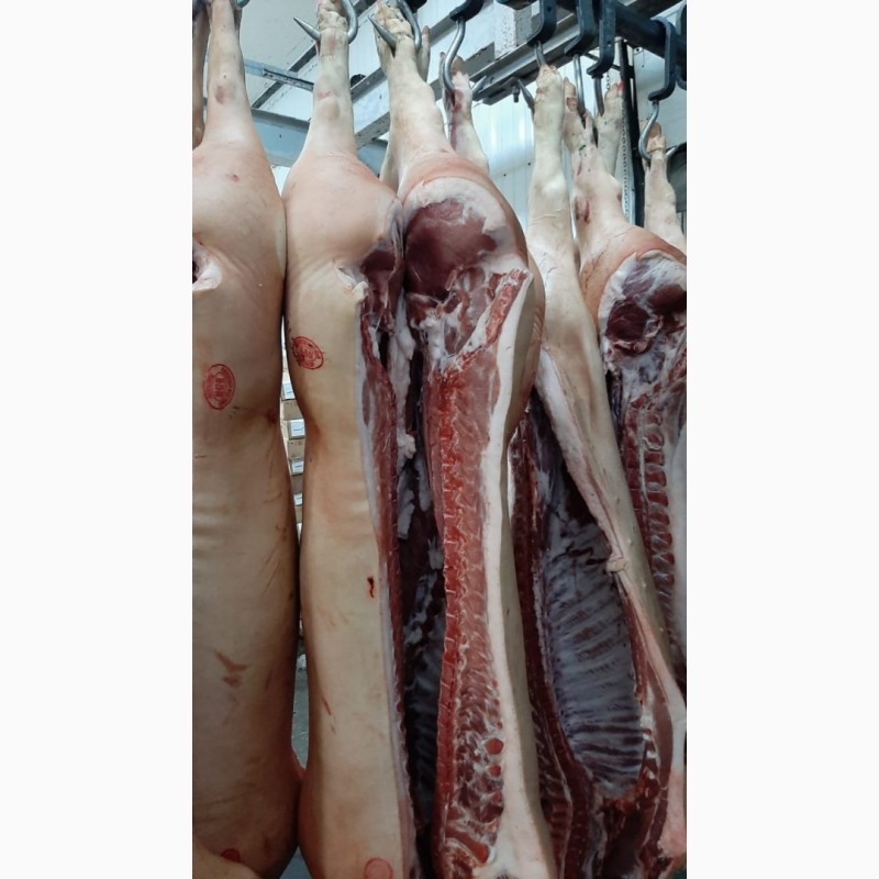Фото 2. ООО Санарин, реализует мукозу, кишечник свиной промытый неочищенный