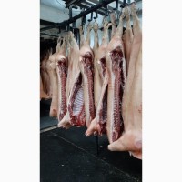 ООО Санарин, реализует мукозу, кишечник свиной промытый неочищенный