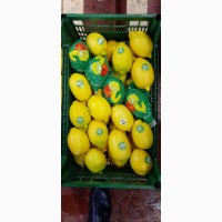 Продам Лимоны