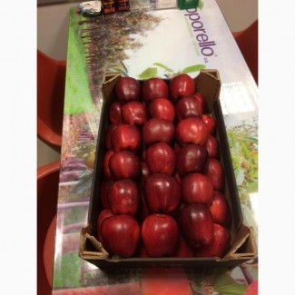 Яблоки из Молдовы