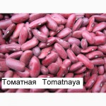 Продаем экологически чистую фасоль из Киргизии по оптовой цене от производителя