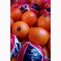 Мандарины Clementine